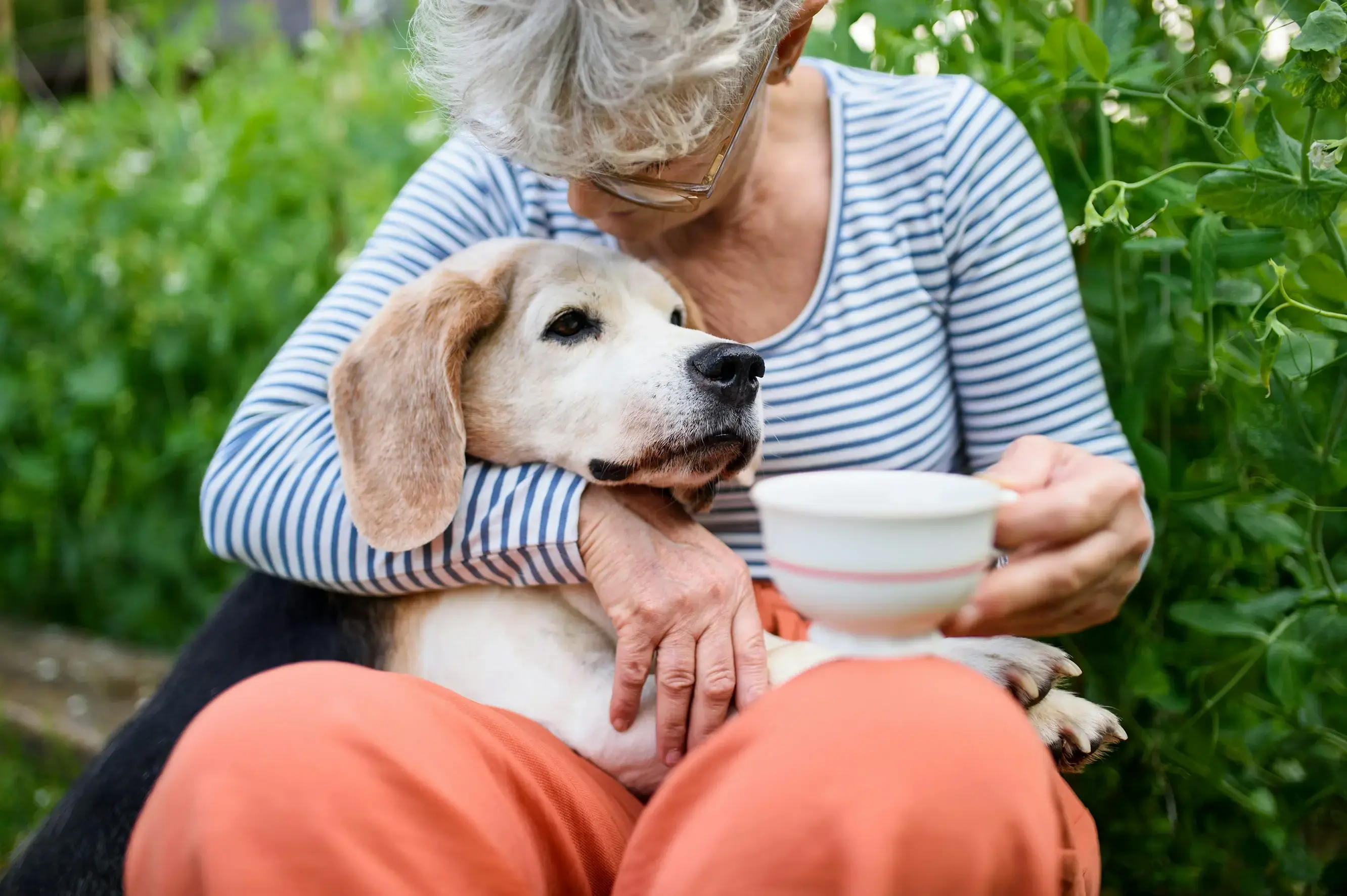 Elder with dog