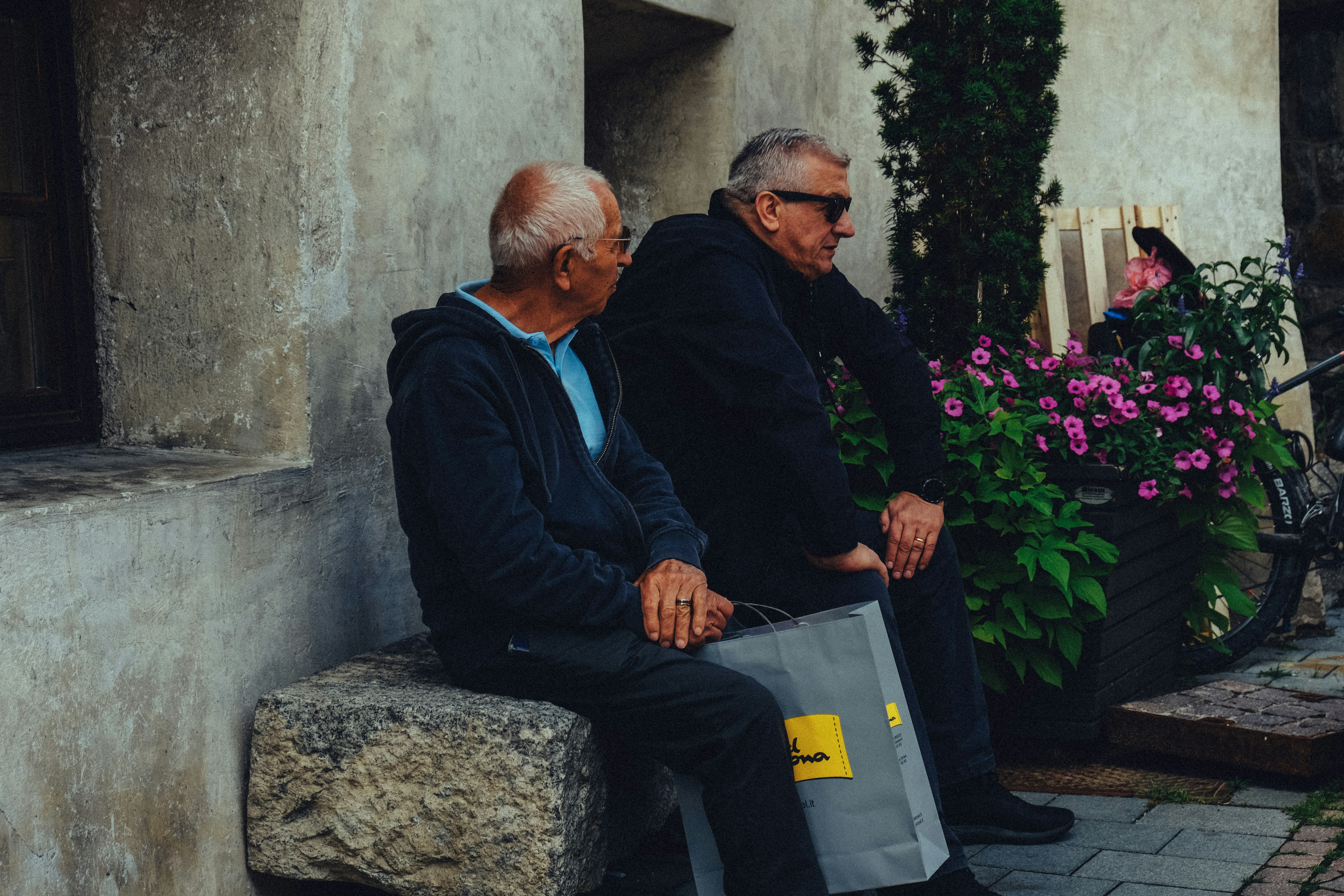 An older adult and a companion working on a jigsaw puzzle together - Companionship for seniors